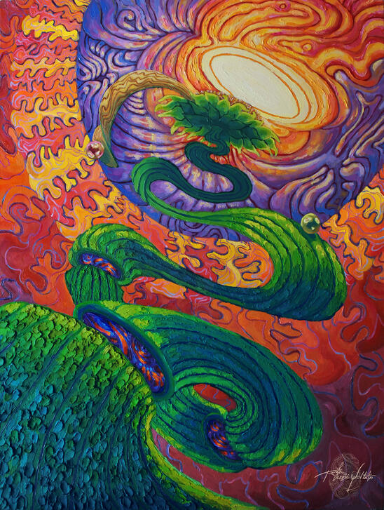 La ascensión de Helianthus Asterales (C)